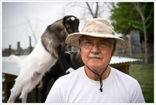 Plea For Pictures - Goats