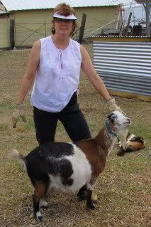 Which buckling would you get? - Goats