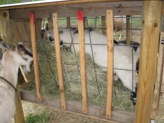 Bunk feeder - how to keep the goats out of it - Goats