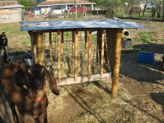 Hay Feeder/Manger - Goats