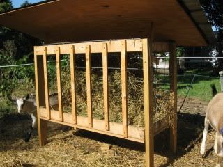 Hay feeder ideas? - Goats