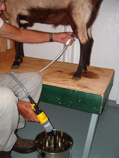 Need advice on a milker - Goats