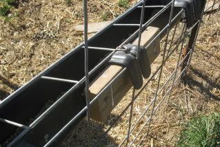 feeding receptacles? - Goats