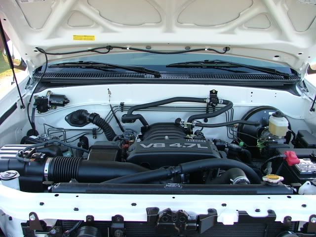 2006_0408Image0022.jpg