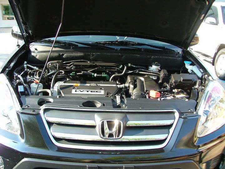 2006_0908Image0007.jpg