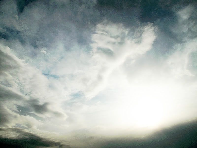 IMAGE: http://i58.photobucket.com/albums/g244/mmich_storm/x.jpg