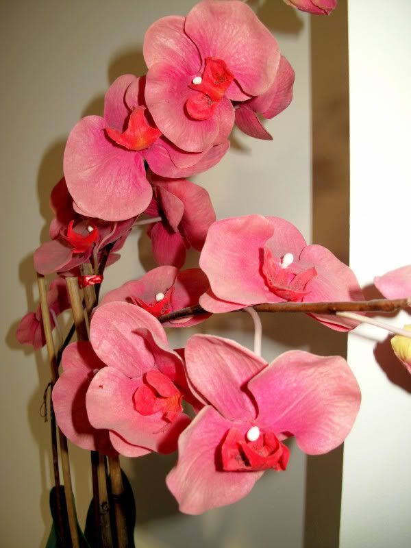 IMAGE: http://i58.photobucket.com/albums/g244/mmich_storm/x14.jpg