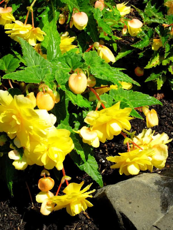 IMAGE: http://i58.photobucket.com/albums/g244/mmich_storm/x17.jpg