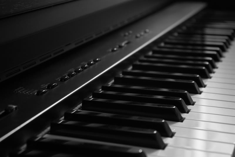 IMAGE: http://i58.photobucket.com/albums/g245/ddbias/IMG_1037.jpg