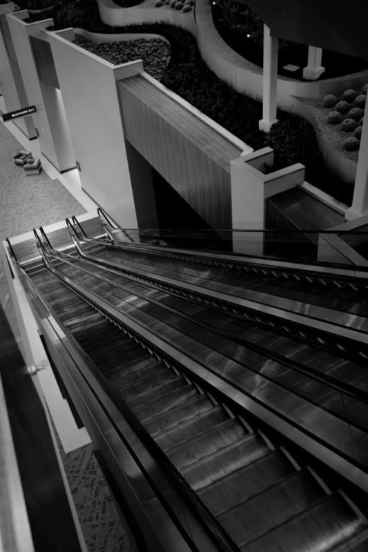 IMAGE: http://i58.photobucket.com/albums/g245/jonrwongusana/Vegas%20Winter%202009/IMG_0942.jpg