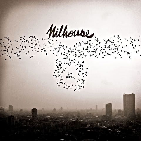 milhouse,milhouse band, mihouse music,milhouse,milhouse band, mihouse music