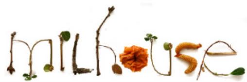 A COLLECTION OF RARE BIRDS