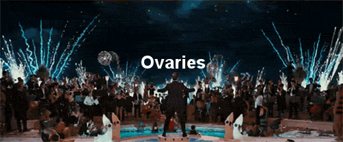 the effective use of symbols images and allegories in the great gatsby a film by baz luhrmann Can i talk about baz luhrmann's romeo and juliet please here is what i learned about this incredible movie from my youth. the effective use of symbols images and allegories in the great gatsby a film by baz luhrmann Can i talk about baz luhrmann's romeo and juliet please here is what i learned about this incredible movie from my youth.