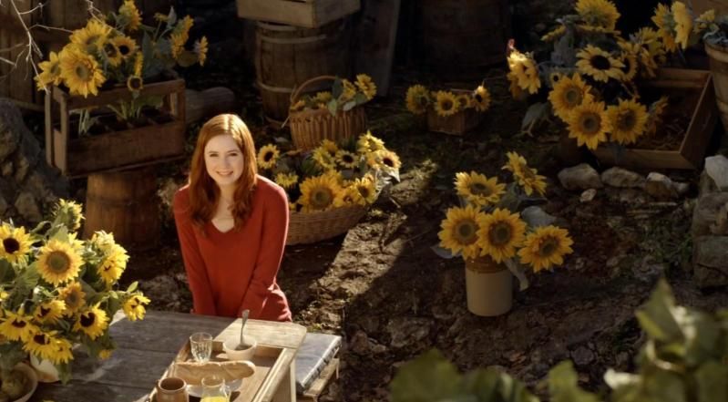Amy Pond Doctor Who Sunflowers