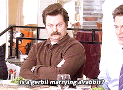 Is a gerbil marrying a rabbit?