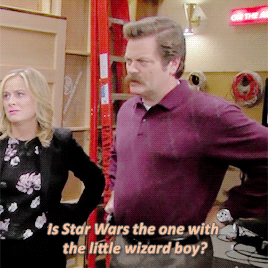 parks wizard boy