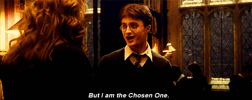 Harry Potter I am the chosen one