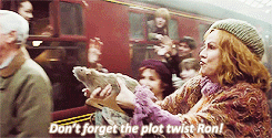 Harry Potter Don't forget the plot twist