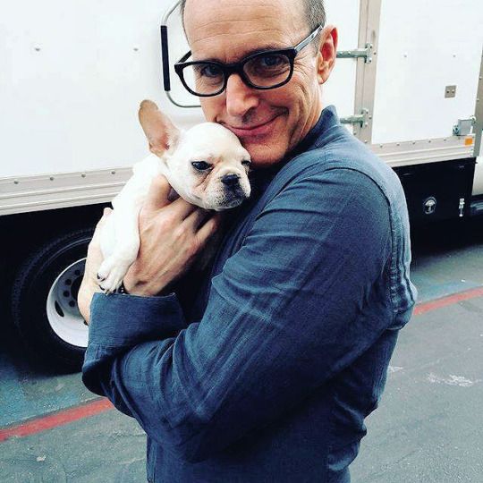 clark gregg puppy