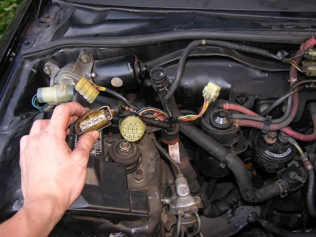 People I spoke to told me that I need to fit the CRX wire tree the D16a9 was from, because my original didn't work with the ECU and the d16a9 engine.