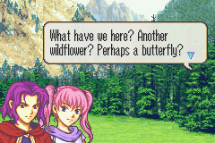 fe700183.png