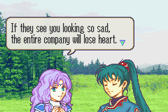 fe700385.png