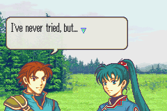 fe700398.png