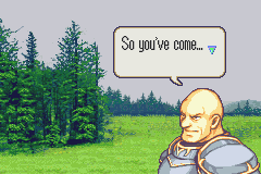 fe700455.png