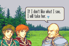 fe700466.png