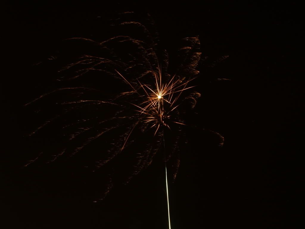 PC170326.jpg