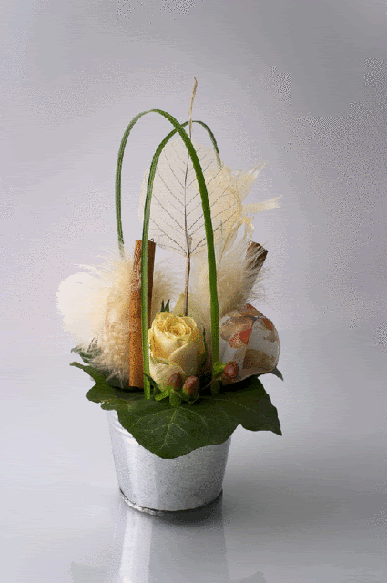 Flowers Gif Pictures, Images and Photos