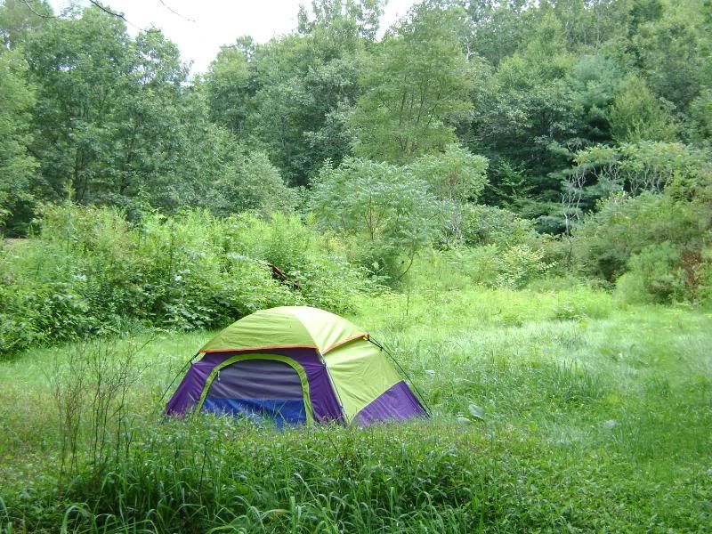 tent in yard