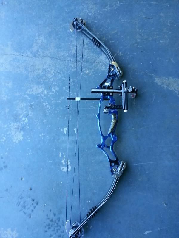 hoyt xt 3000 Archery Talk Forum
