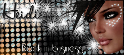 Heidi_business.png