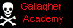Gallagher Academy