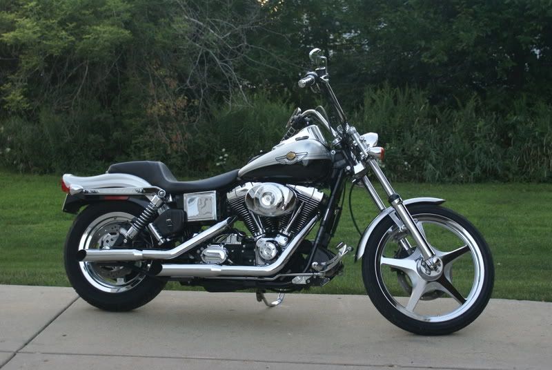 Harleypics001.jpg