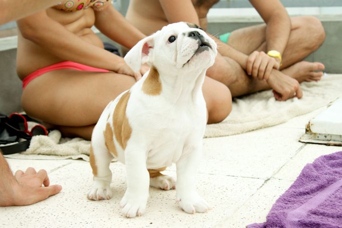 photo IMG_8053_zps6fc0b5f9.jpg