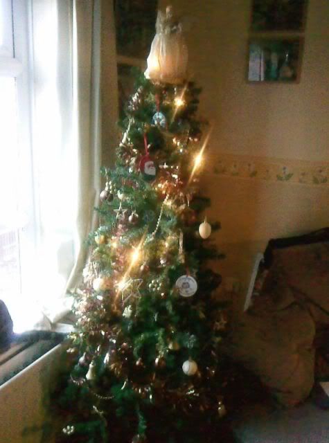 tree1.jpg