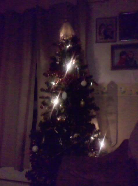 tree2.jpg