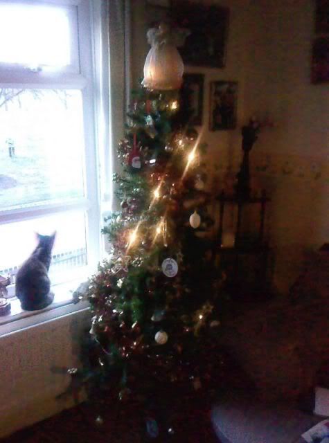 tree3.jpg