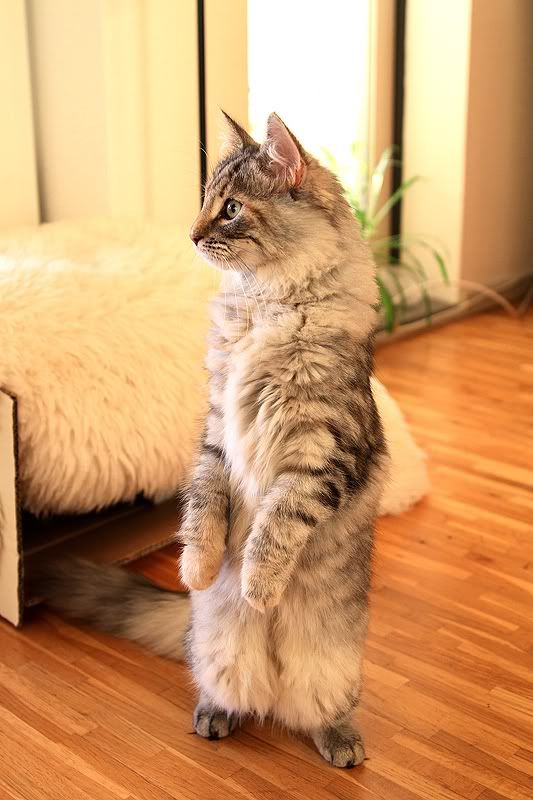 IMAGE: http://i58.photobucket.com/albums/g254/nameofgod/IMG_1379.jpg