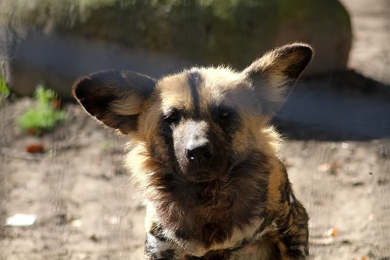 IMAGE: http://i58.photobucket.com/albums/g254/nameofgod/IMG_3355.jpg