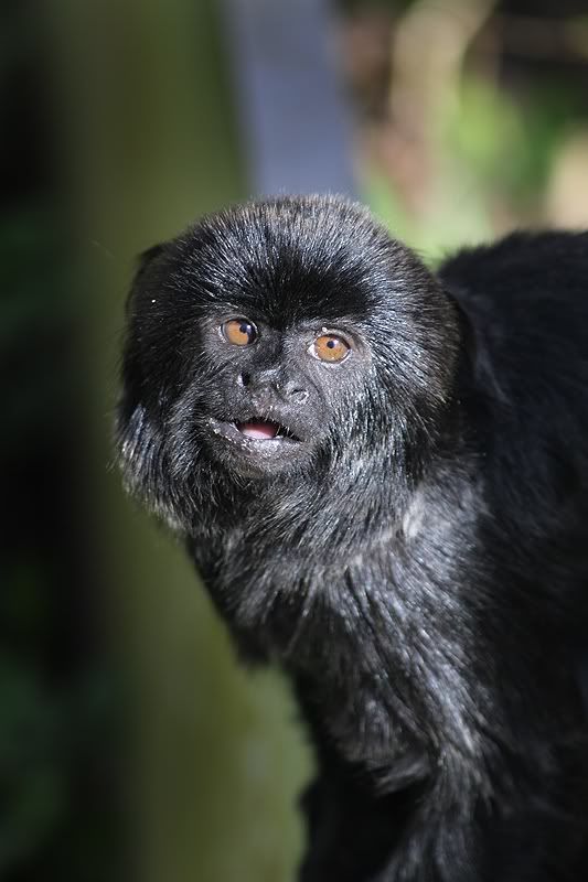 IMAGE: http://i58.photobucket.com/albums/g254/nameofgod/IMG_3658.jpg