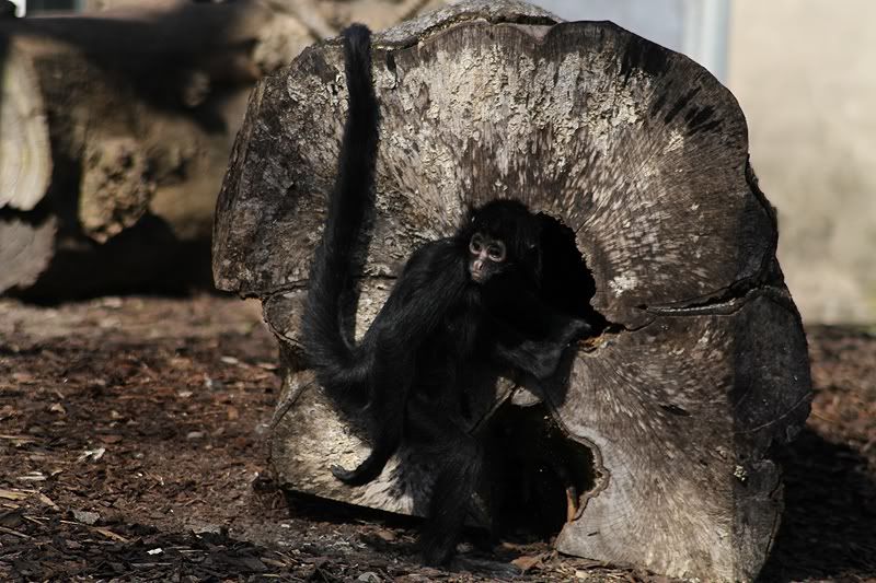 IMAGE: http://i58.photobucket.com/albums/g254/nameofgod/IMG_3744.jpg