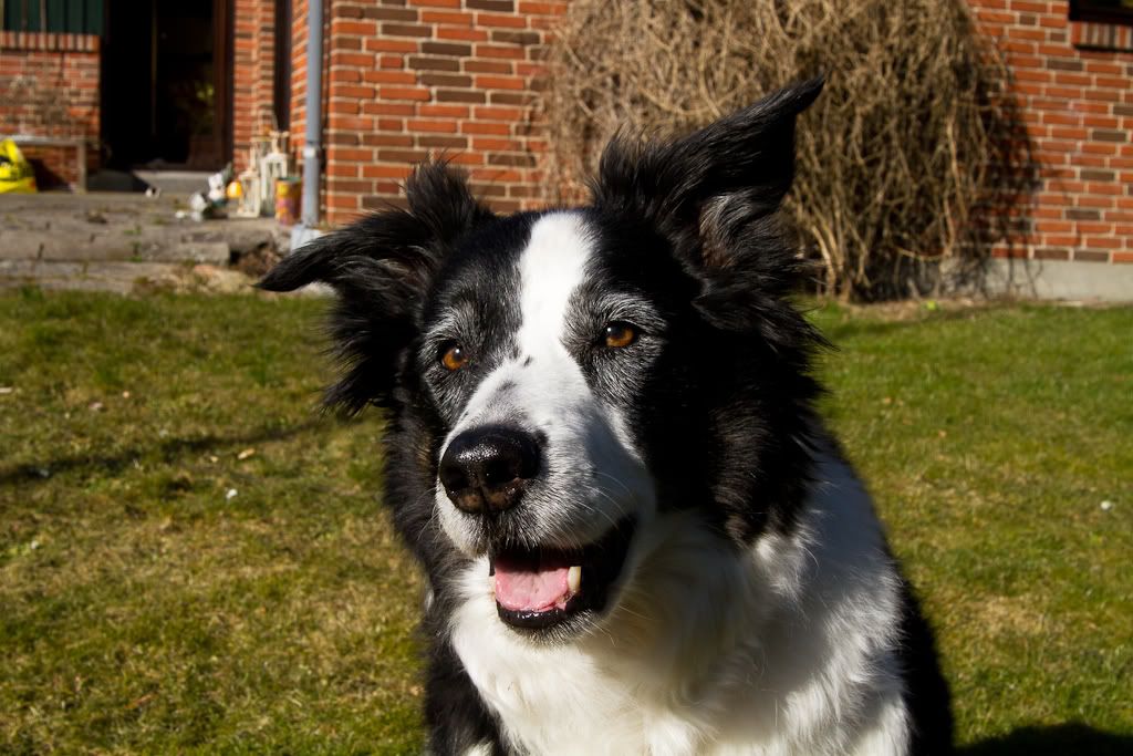 IMAGE: http://i58.photobucket.com/albums/g254/nameofgod/IMG_6209.jpg