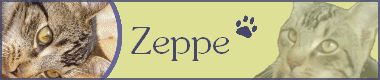 Geplaatste afbeelding