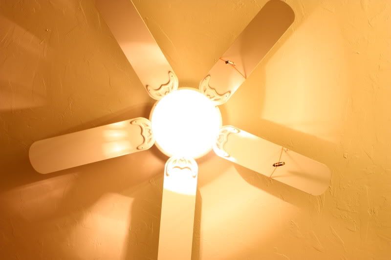 IMAGE: http://i58.photobucket.com/albums/g255/desmondmason/IMG_5759.jpg