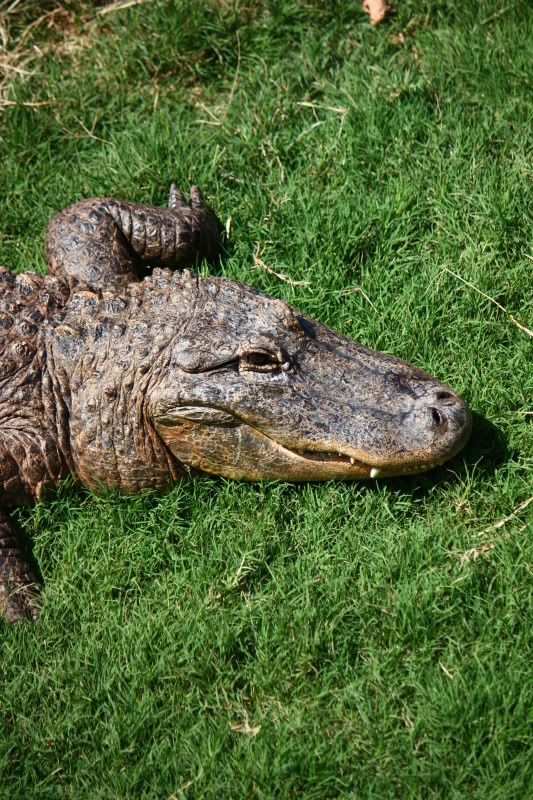 IMAGE: http://i58.photobucket.com/albums/g255/desmondmason/IMG_5976.jpg