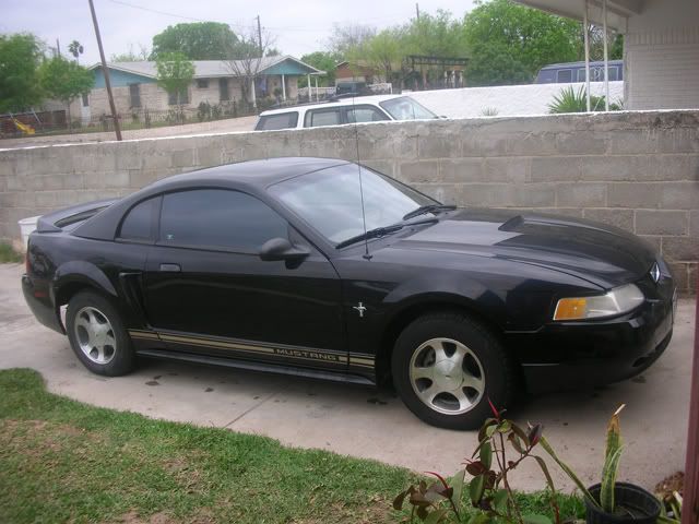 DSCN5315.jpg