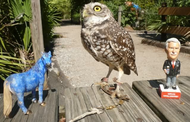 Mtsu Mascot